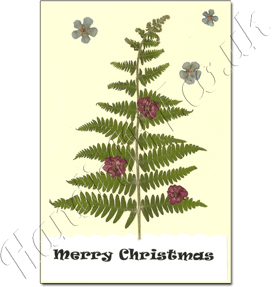 Pressed Flower Christmas Cards - Atheist Christmas (600x600)