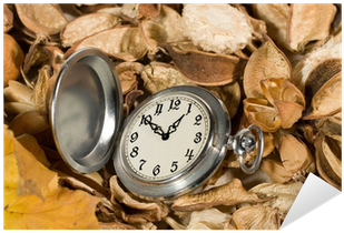 Antique Pocket Watch On Dried Flowers And Leaves Sticker - Mural (400x400)