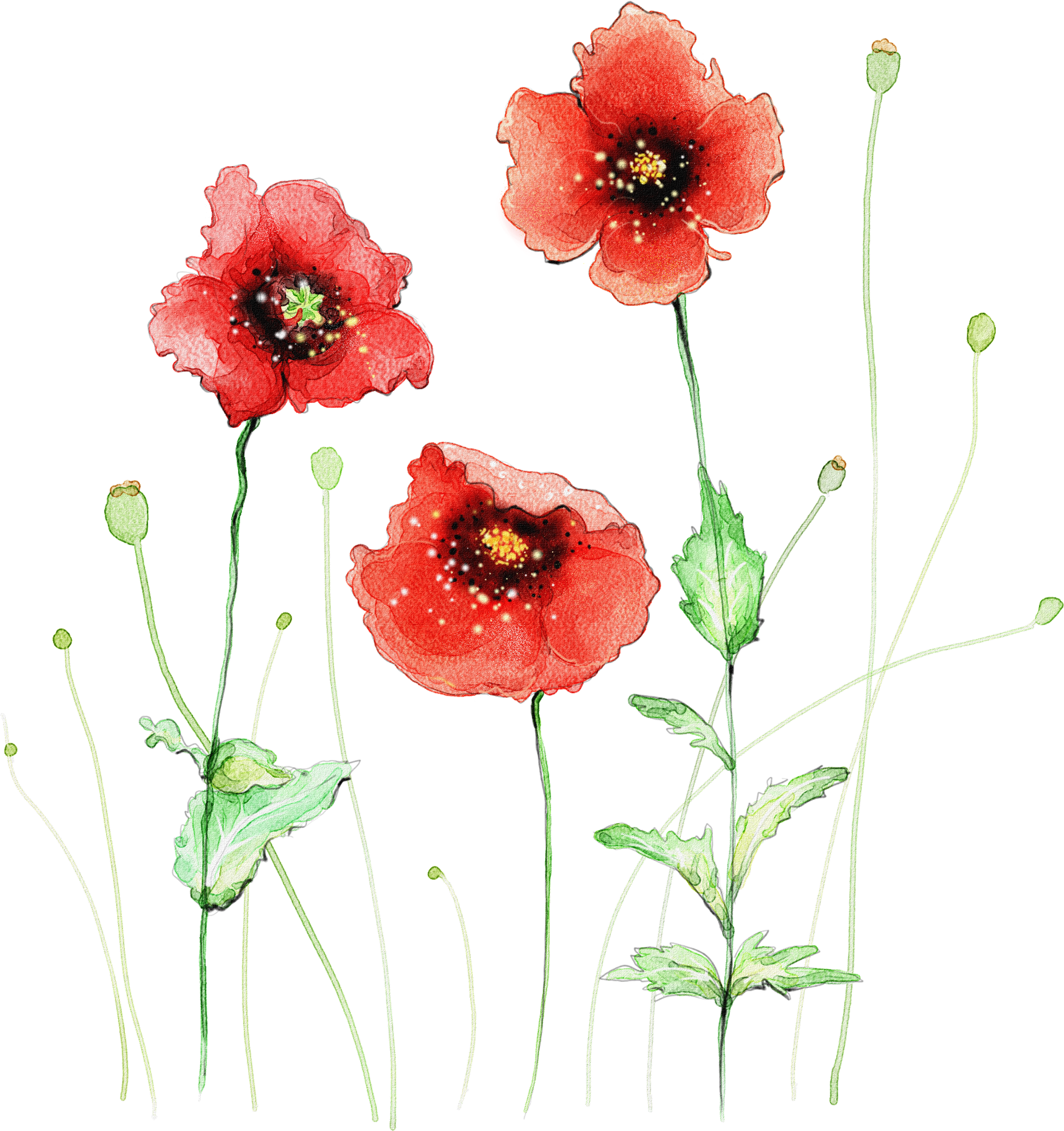 Watercolor Painting Flower Red - Watercolour Bouquet No Background (3757x3780)