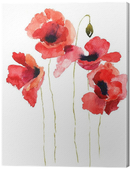 Stylized Poppy Flowers Illustration Canvas Print • - Watercolor Flowers Poppies (400x400)