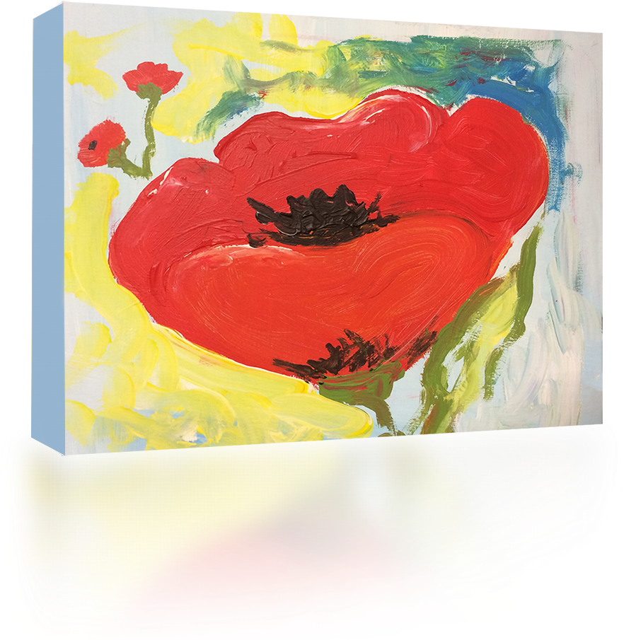Single Poppy - Oriental Poppy (1024x1024)