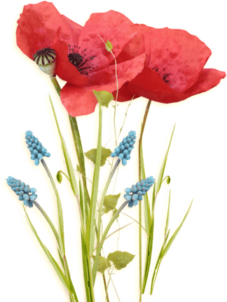 【直立】图片免费下载 直立素材 直立模板-千图网 - Gelincik Png (324x432)