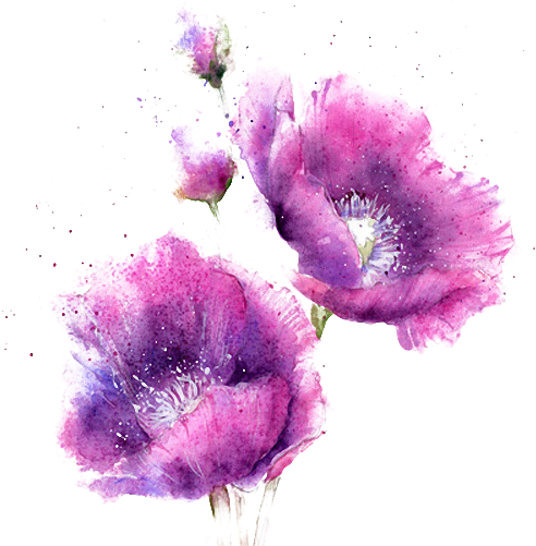 Watercolor Purple Flowers - Watercolor Purple Flowers Png (500x500)