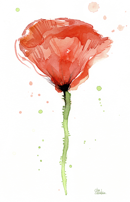 Click And Drag To Re-position The Image, If Desired - Poppy (449x700)