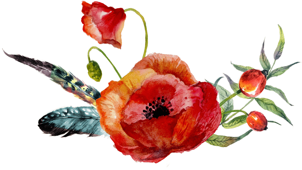Consider Renewed Joy Your Guide-book To The Source - Red Poppy Watercolor Hand Painted Vector Free (1024x564)