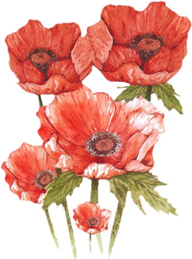 출처 - 3d Knipvel - Bloemen En Vlinders - Voorbeeldkaarten (414x519)