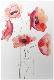 Poppy Flower Aquarell (400x400)
