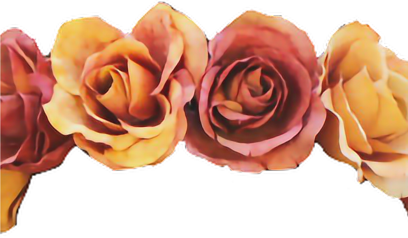Flowers Flowercrown Crown Tumblr Orange Colorful - Flower Crown Tumblr Transparent (1368x855)