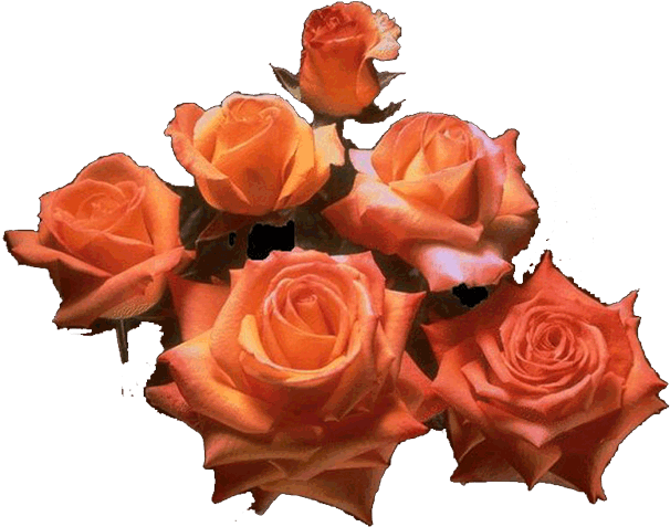 Garden Roses Cut Flowers Flower Bouquet - Poemas Para A Mae (800x600)