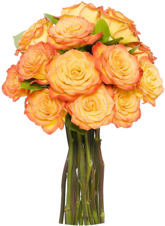 12 Long Stem Orange Roses - Vase Of Orange Flowers Png (458x458)