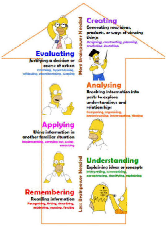 What happened to the magpie in penguin bloom image