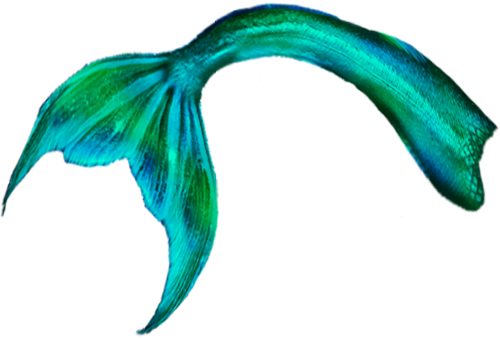 La Sirena Cigars - Green Mermaid Tail Png (500x340)