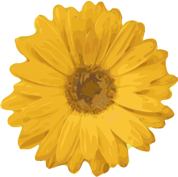 Flower Clipart - Perks Of Being A Wallflower Flower (600x608)