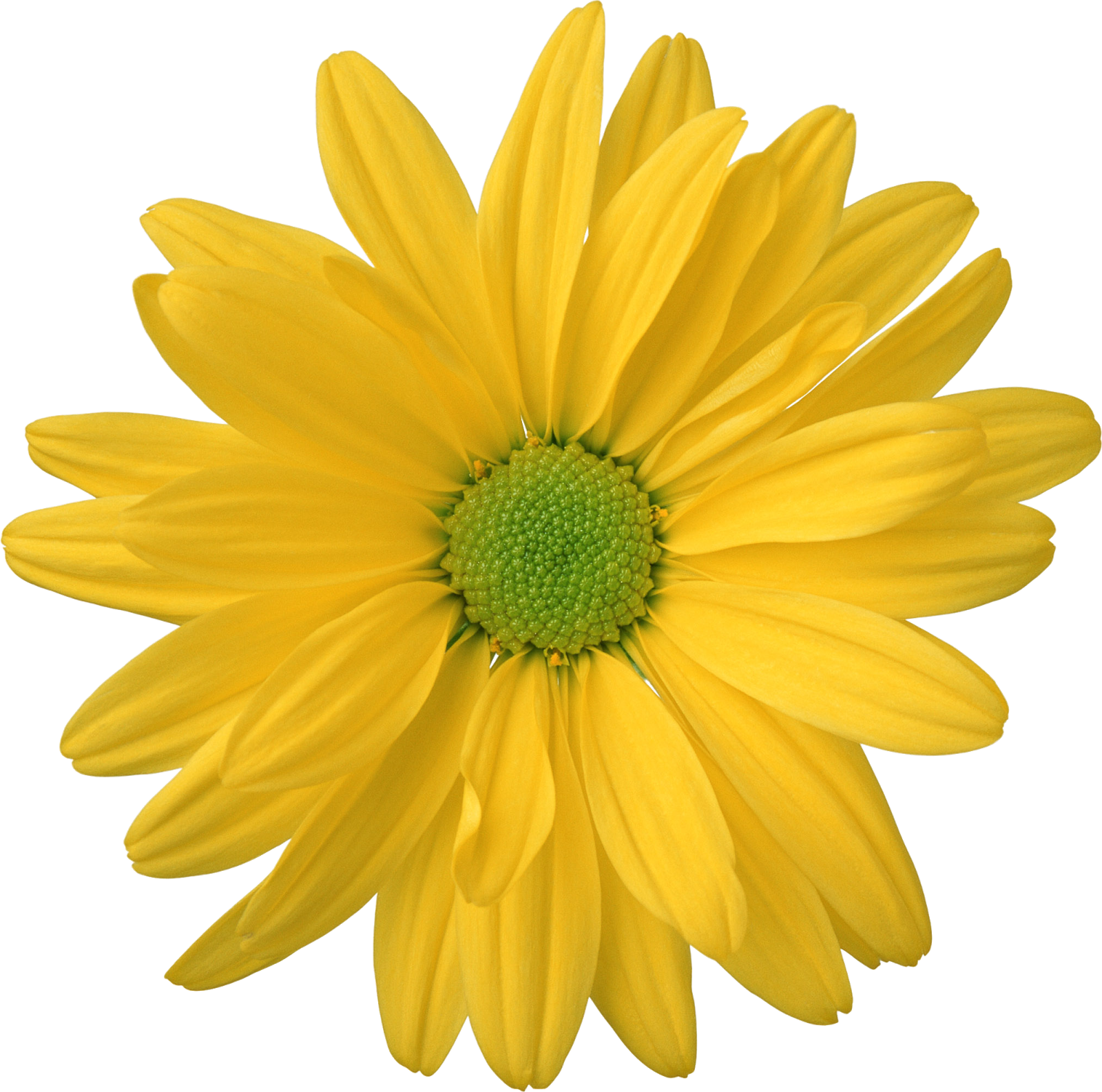 Big Rec - Truth About Forever Quotes (1600x1586)