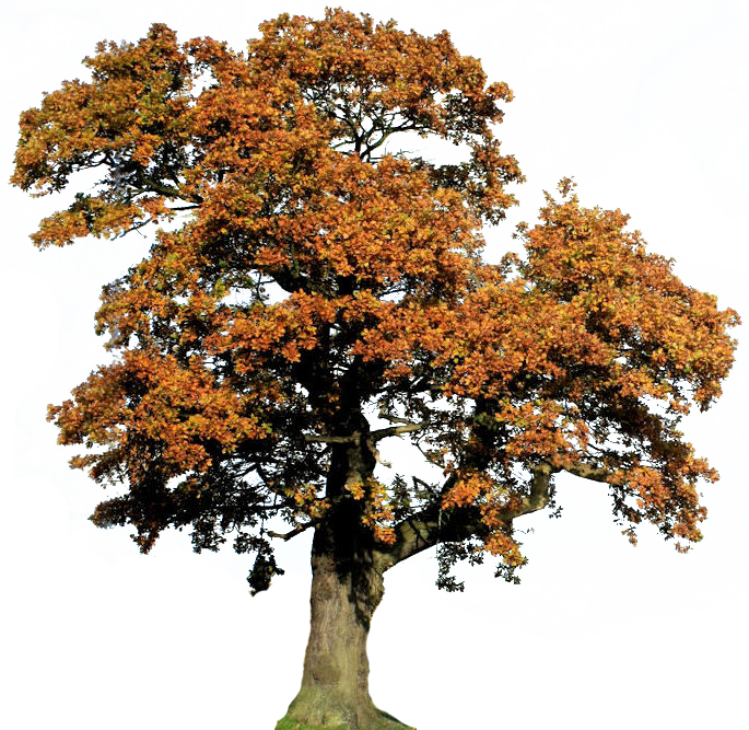 Image15 - Sticker (685x667)