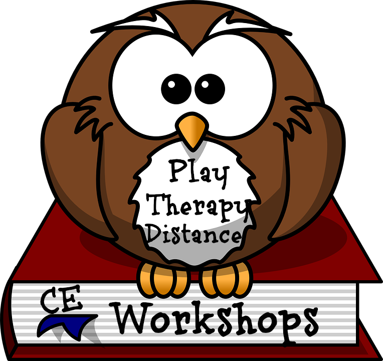 Play Therapy Trainings By Play Therapy Distance Wonders - Cartoon Owl Shower Curtain (764x720)