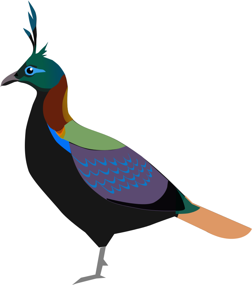 Open - Lophophorus Clipart (1000x1000)