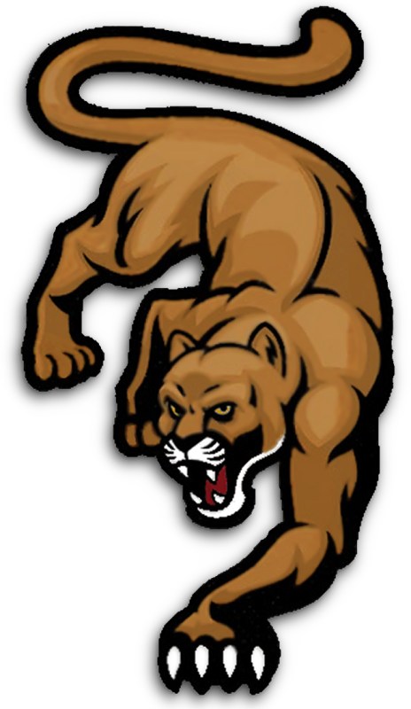 Minnesota Mountain Lions - Vector Graphics (464x800)