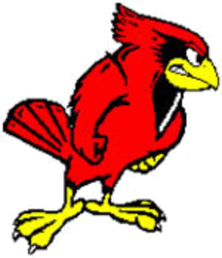 Hoover Cardinals - Illinois State University Mascot (720x835)