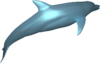 Animated - Animated Dolphin Gif (471x500)