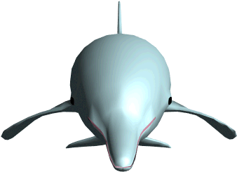 Dolphins Clipart Dophin - Dolphin Animated Gif Clipart (350x350)