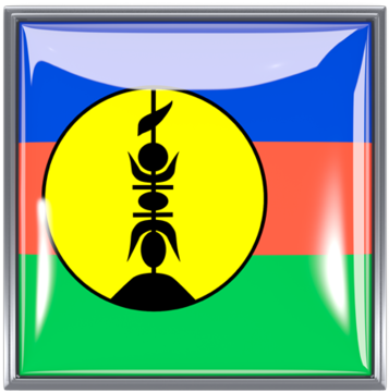 Illustration Of Flag Of New Caledonia - New Caledonia Flag (640x480)