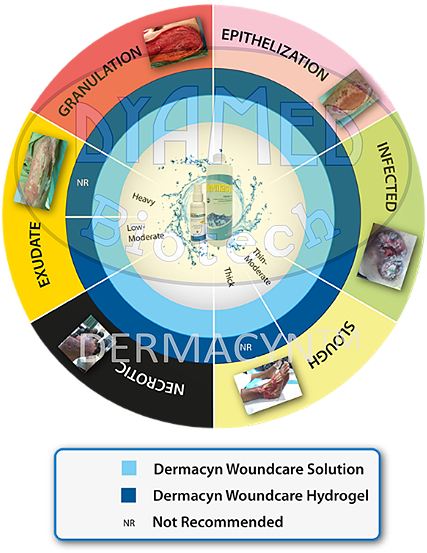 Usage Guidelines - Watermark (426x559)