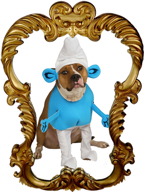 Even - Picture Frame (302x411)