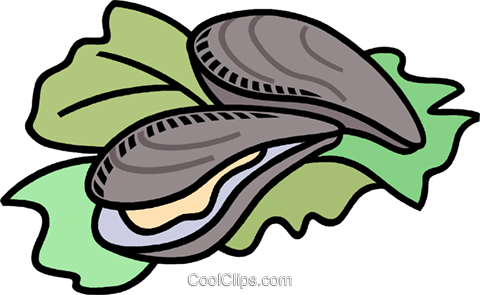 Top 92 Oyster Clip Art Free Clipart Spot Png Â€“ Danielbentley - Oyster Clipart Png (480x295)