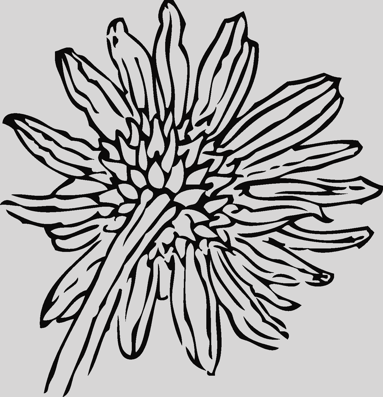 Sunflowers Clipart Black And White Clipart Sunflower - Sunflowers Clipart Black And White Clipart Sunflower (1331x1379)