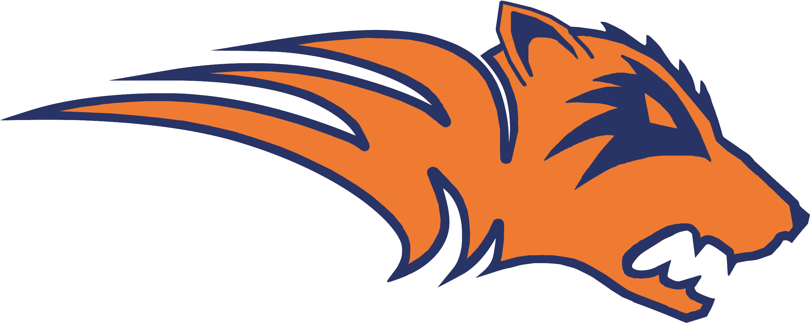 Wakeland High School Logo (2863x1432)