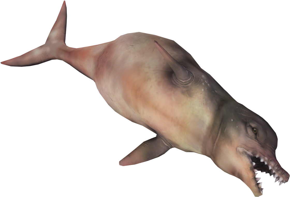 A Transparent Reality Essay 1 Emerson's Transparent - Common Bottlenose Dolphin (1440x810)