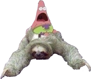Sorry Just Saying Your Last Pic Isnt Transparent, You - Sloth Png (500x500)