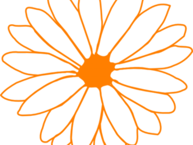 Orange Flower Clipart - Printable Pictures For Get Well Cards (640x480)
