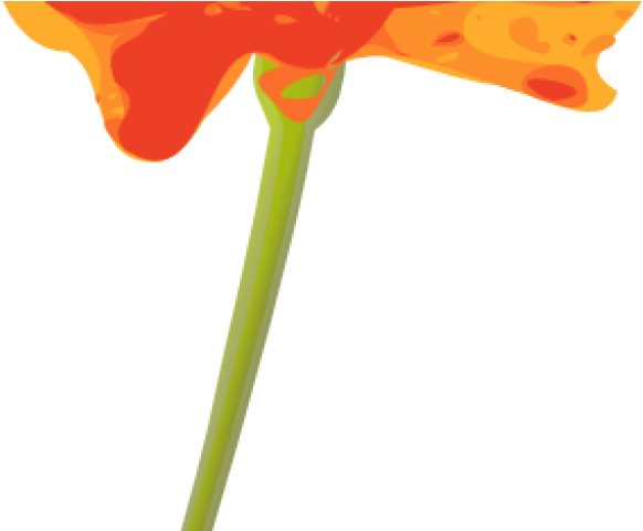 Orange Flower Clipart - Flower (640x480)