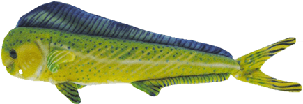 Rainbow Dolphinfish Plush Toy - Sand Eel (500x500)
