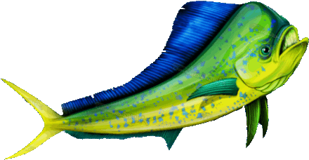 Let's Go Fishing - Bull Mahi Rectangle Magnet (500x250)