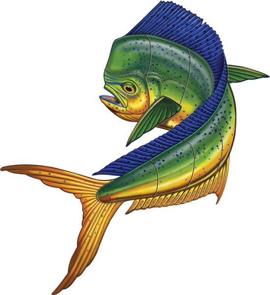 Porc Mm45 36 28"x26" Mahi Mahi Upward Porcelain Pool - Mosaic (549x600)