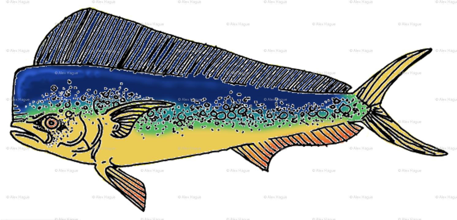 Sailfish (1500x750)