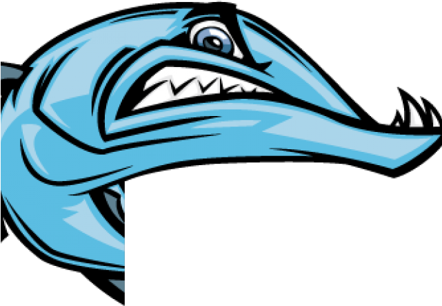 Barracuda Clipart - Barracudas (640x480)