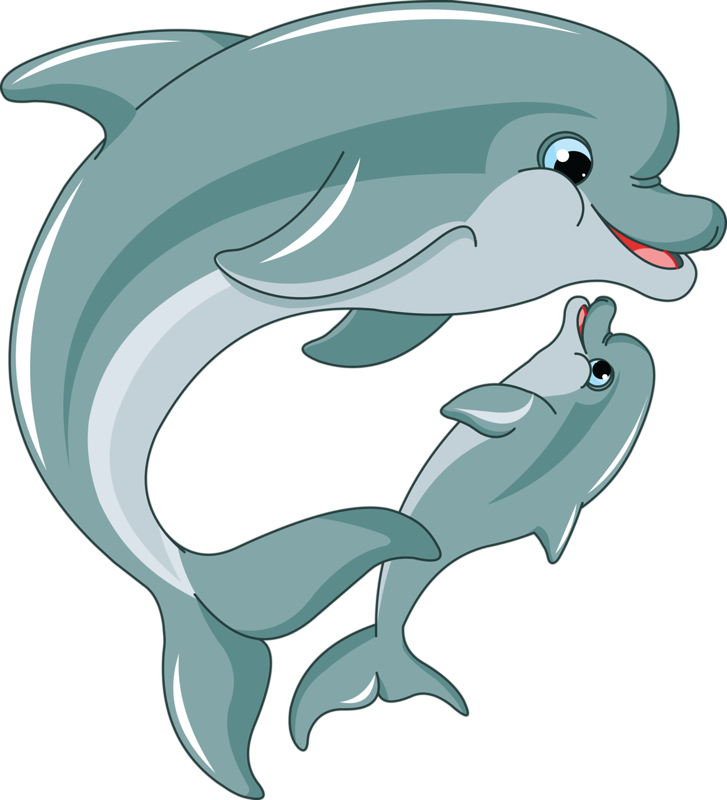 Cartoon 2 Dolphins (727x800)