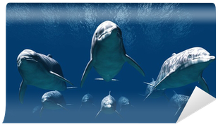 Getters Iida (400x400)