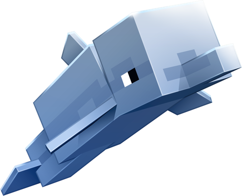 Brinque Com Os Golfinhos, Nade Com As Majestosas Tartarugas - Dolphin (487x394)