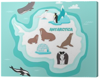 Golfinho, Baleia Cachalote, Pinguim De Imperador, Selo, - Zazzle Kindertierkarte Von Der Antarktis Spiral Notizblock (400x400)