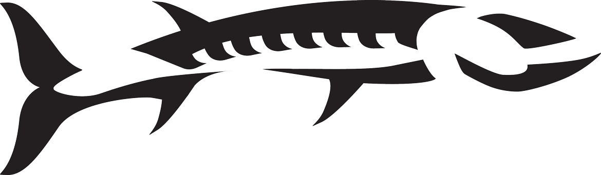 Barracuda Fish Logo - Barracuda Fish Logo (1170x341)