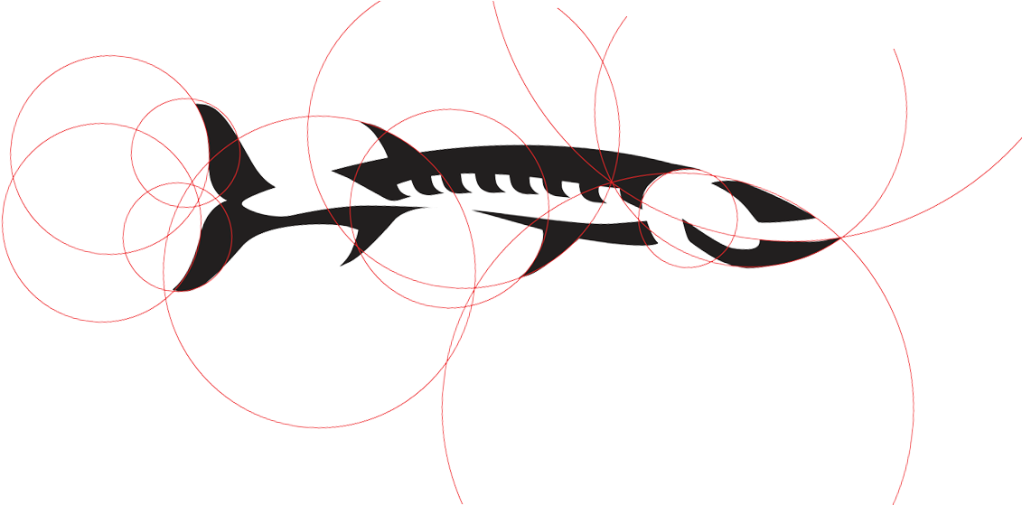 Barracuda Fish Logo - Barracuda Fish Logo (1170x558)