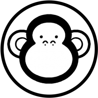 Kingkong Kamera - Birthday 17 Boy (400x400)