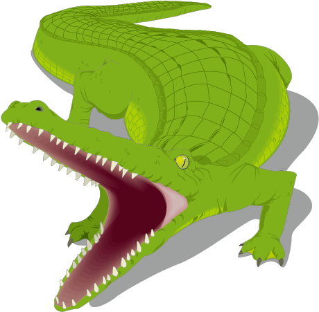 Honey Island Swamp Alligator Crocodile Clip Art - Alligator Clip Art (842x596)