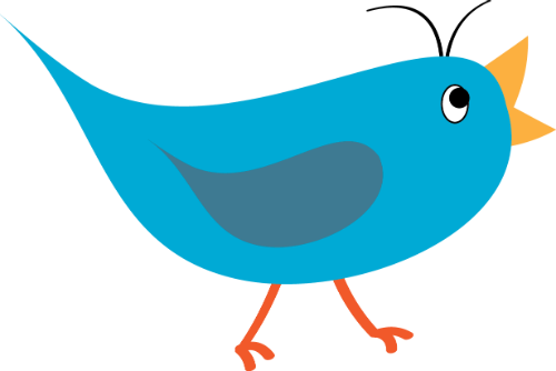 Twitter Follow Bird - Twitter (500x334)