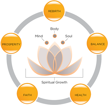 Serenity Clipart Spiritual Care - Significance Of Lotus Flower (500x388)